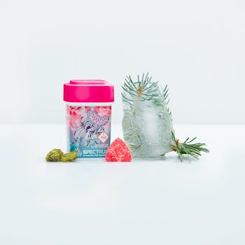 Wana Fast Acting Rosin Gummies | Watermelon Slushy 100mg Rec